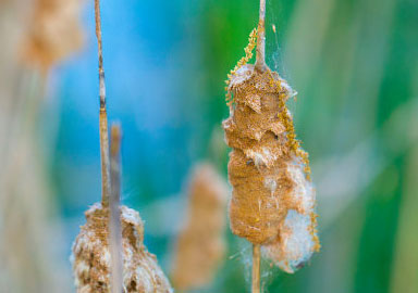 如何轰炸对方手机号